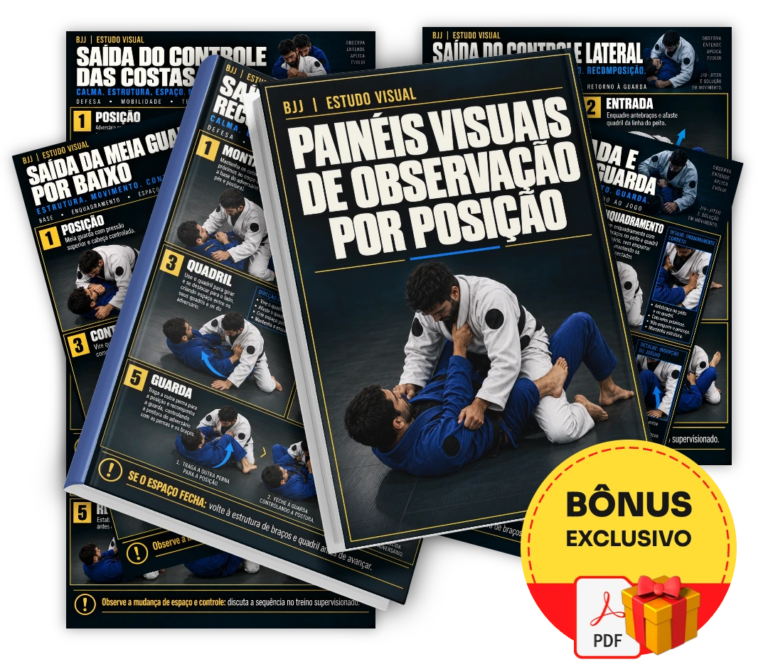 Painéis Visuais de Observação por Posição